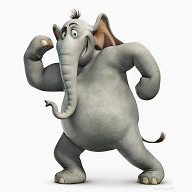 Kanifor