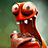 1ancik